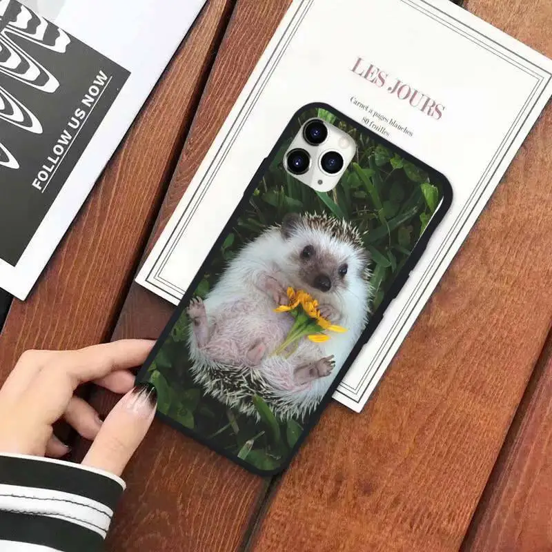 

Cute hedgehog lovely animal pet Phone Case for iPhone 11 12 pro XS MAX 8 7 6 6S Plus X 5S SE 2020 XR