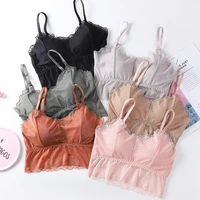 sexy lingerie lace bralette bras for women seamless padded underwear bra padding crop tops beauty back brasiere female vest