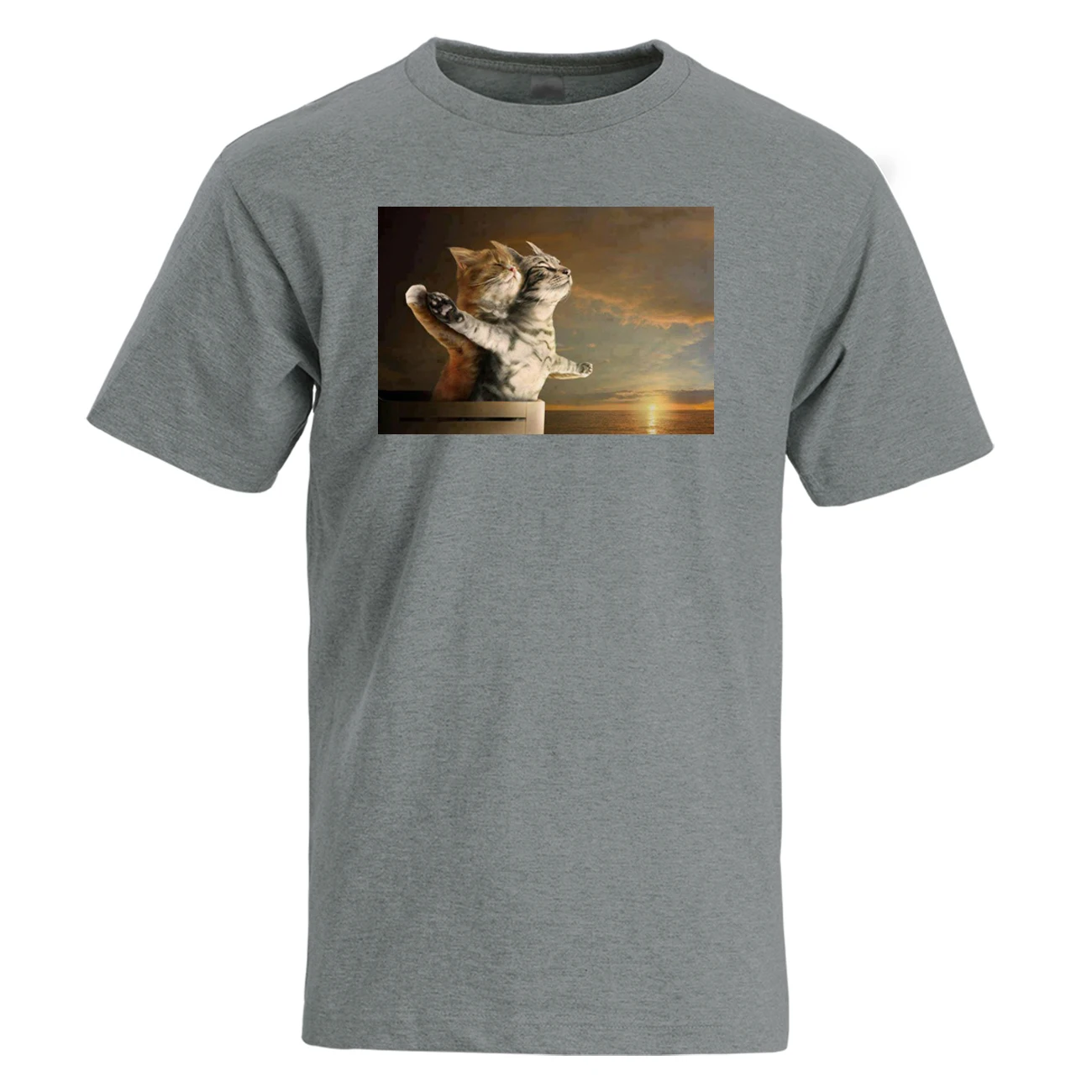 Забавная Мужская футболка из фильма &quotТитаник&quot классическая сцена кот против