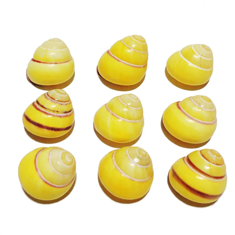 Желтая Золотая Морская раковина на удачу натуральная улитка современное