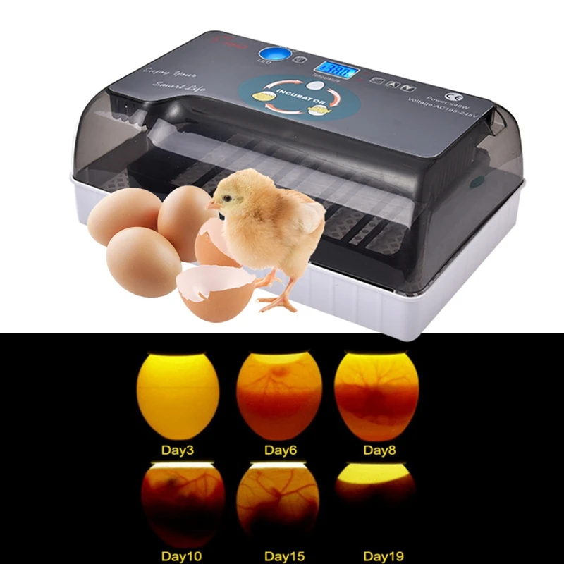 12 Egg Automatic Digital Incubator Outdoor Portable Ranch Large Capacity for Eggs Goose Duck Quail Eg | Спорт и развлечения