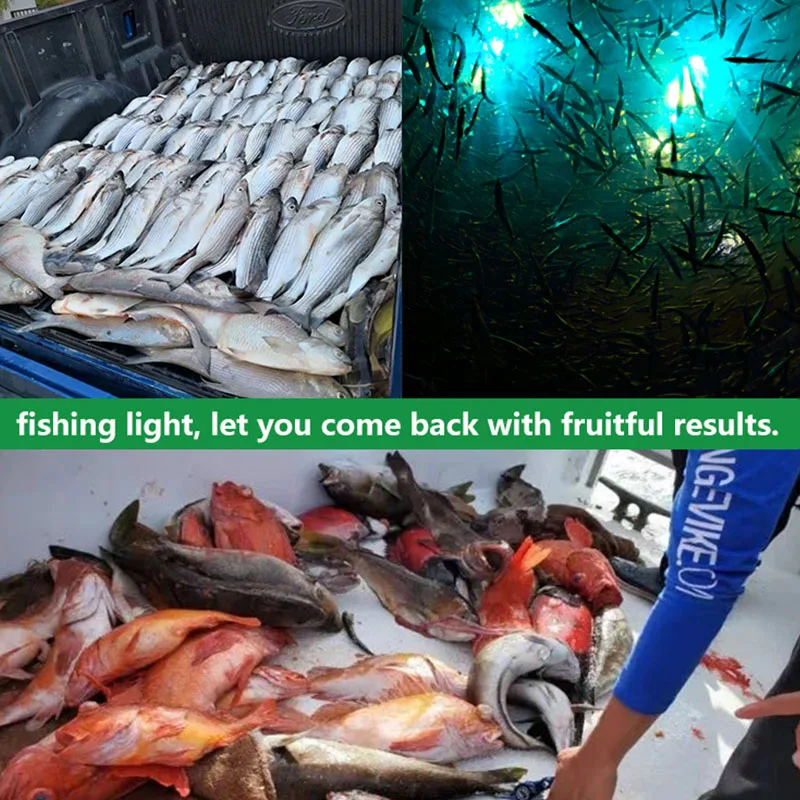 6.5W 5v-12v 650 lumens LED diving fishing light 6-sided underwater fish hunting with 5m cable supports battery connection |