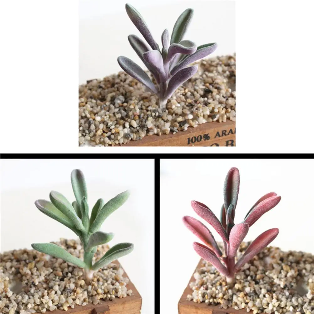 Искусственные растения суккуленты ремесло флористика украшение пластиковые для