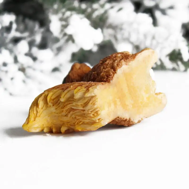 Милая белка искусственные конусы из смолы украшения животных милые аксессуары |