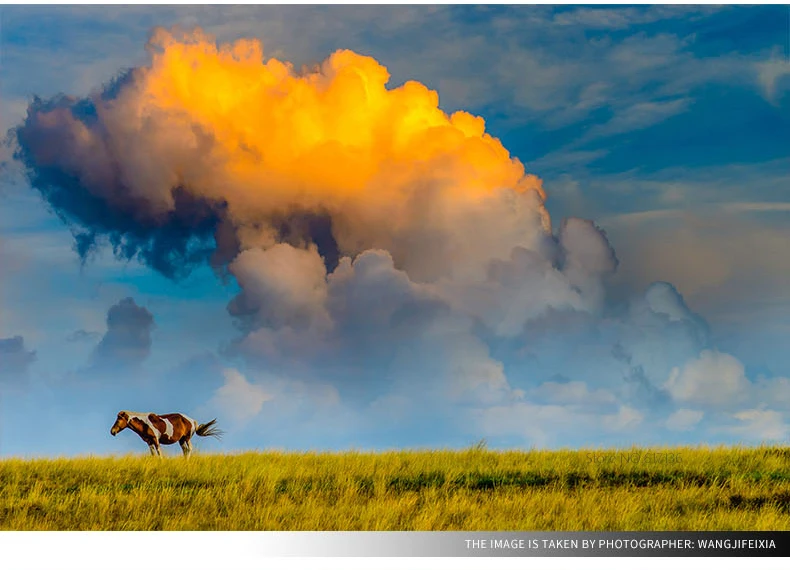Benro FH100M2 FH100M2B FH100M2V1 FH100M2V2 FH100M2V3 FH100M2V4 100 мм квадратный фильтр системы ND/GND/CPL держатель фильтра
