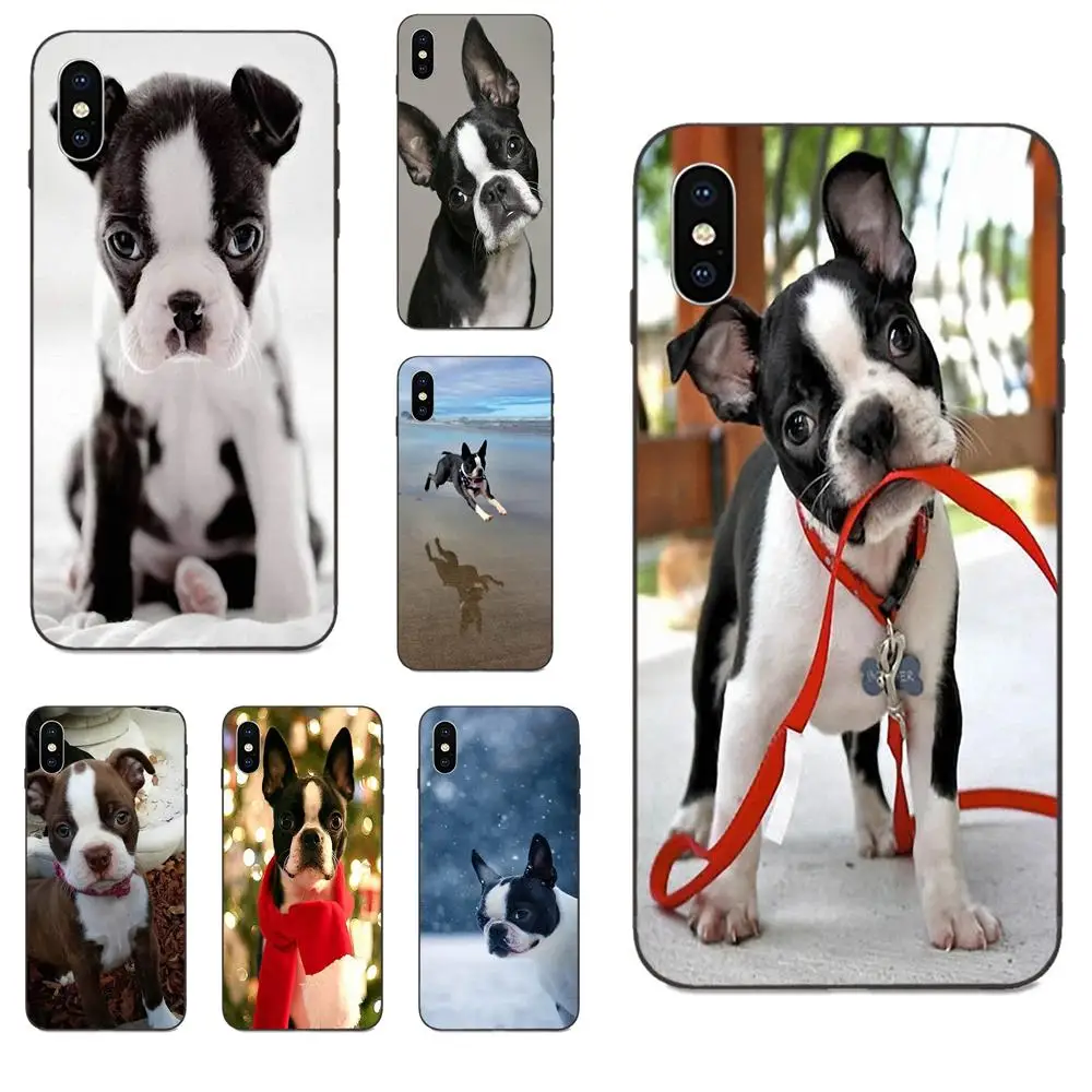 Мягкий чехол из ТПУ для Galaxy C5 C7 J1 J2 J3 J330 J5 J6 J7 J730 M20 M30 Ace Core Max Mini Plus Prime Pro Boston Terrier |
