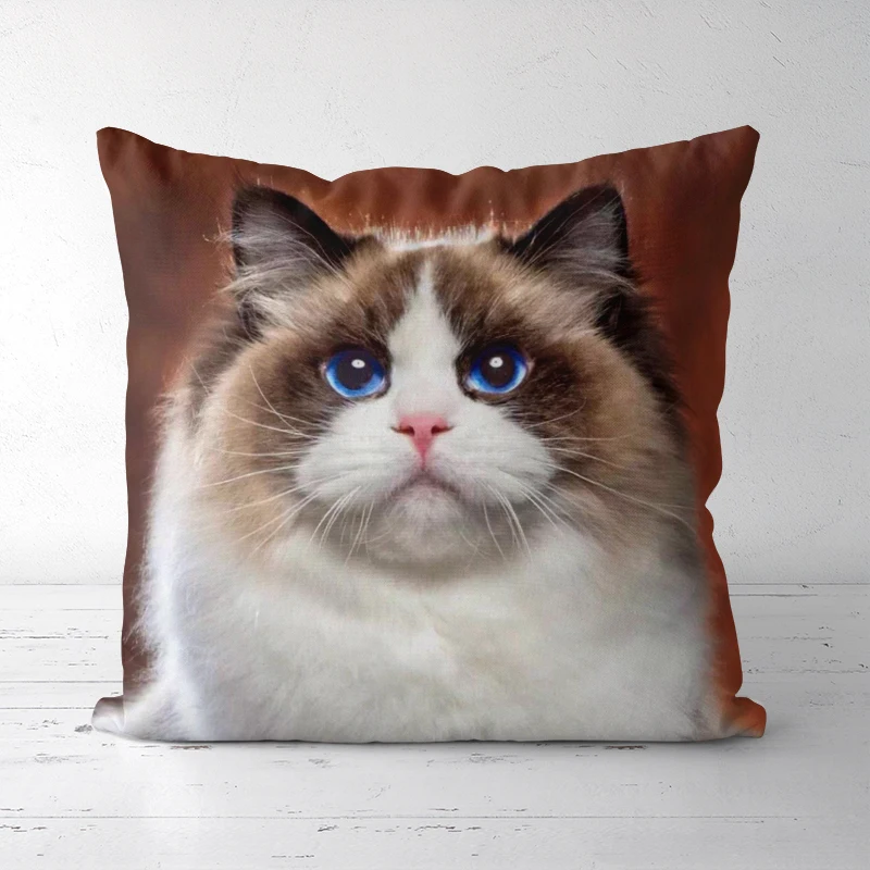 

Cute Cat Pillowcases Are Available In Various Sizes