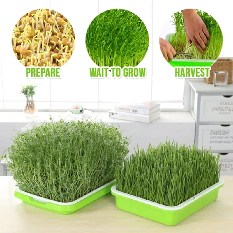 

Plastic Water Cultivation Seedling Tray Double Seedling Layer Plastic Plant Germination Tray Box Gardening Planting Germination