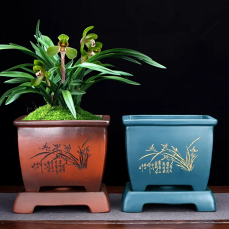 Цветочный горшок с фиолетовым песком Специальный Зеленый для кливии