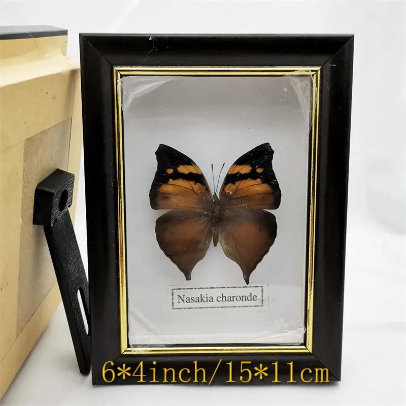 Spread Wings Butterfly Real Specimens Photo Frame Indoor Decoration Home Decorations Insect Sample Figurines Desk Decor | Дом и сад