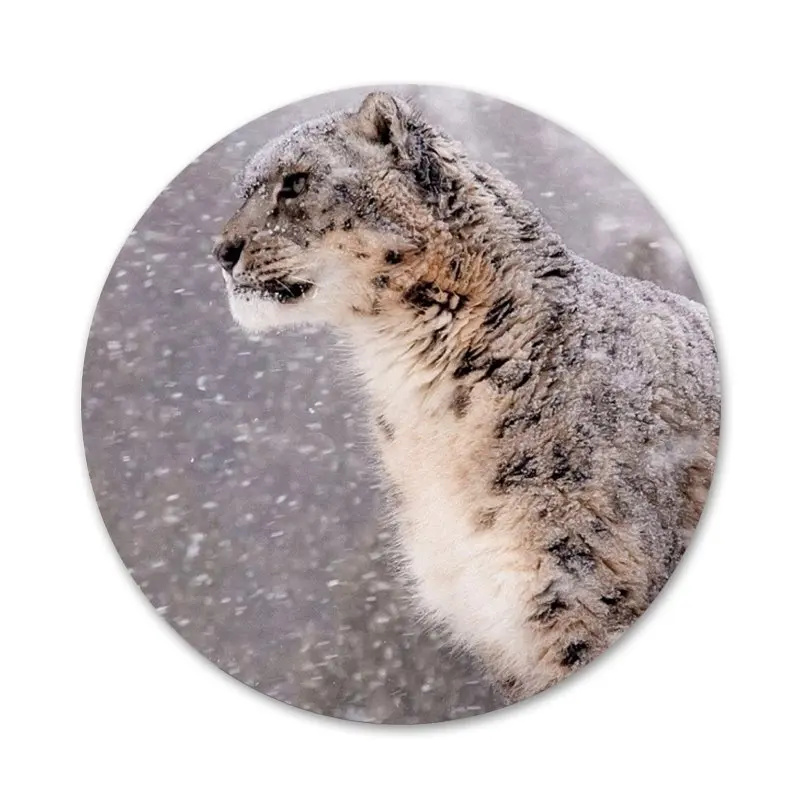 Животное Снежный Леопард значок для одежды рюкзак украшение подарок | Дом и сад