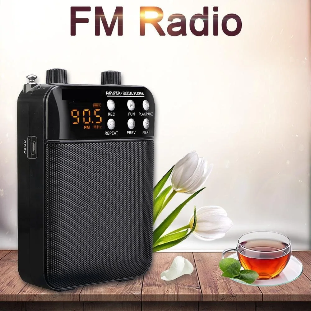 

FM-усилитель с функцией записи голоса, портативный мегафон с MP3-плеером, 3 Вт