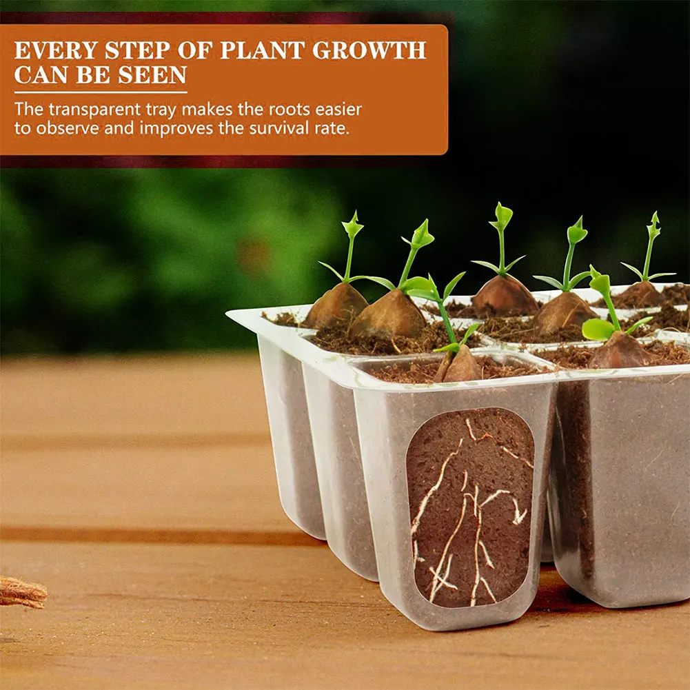 

12PCS Seeddling Trays Seed Grow Sprouting Trays Plant Starter Germination Propagator Tools Kit With 12 Cells Plastic Transparent