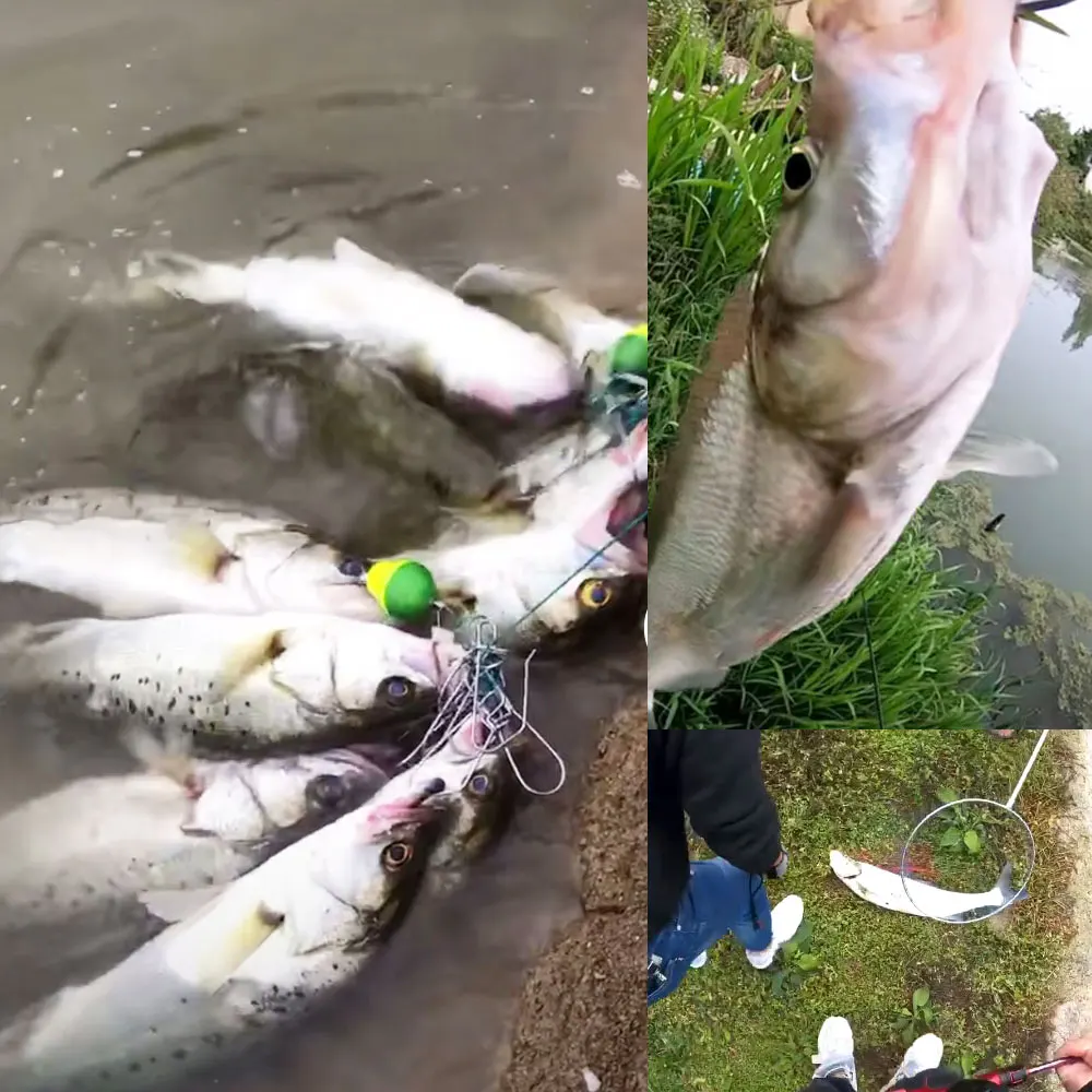 Не покупайте ссылка для отслеживания логистики нет товаров | Спорт и развлечения