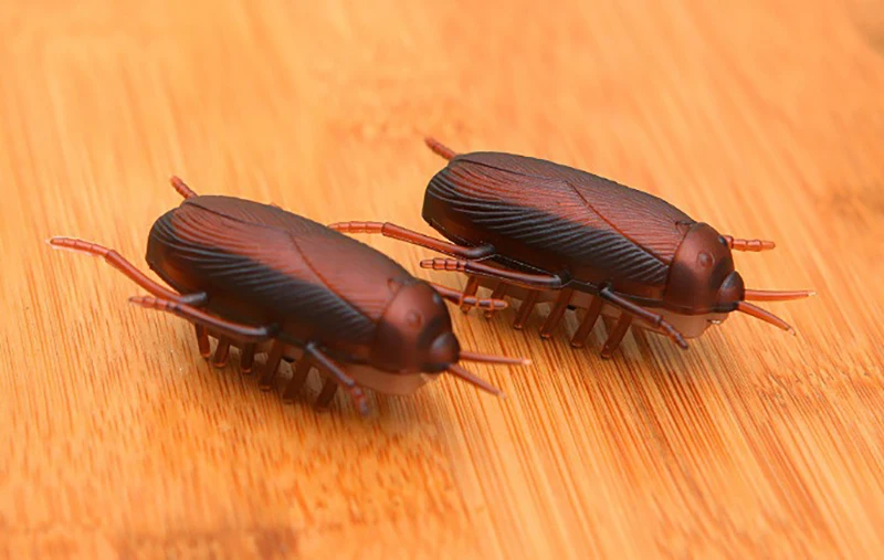 

Battery-Powered Cockroach & Mouse Toy For Cats, Electronic Cockroach, Fun Cat Toy