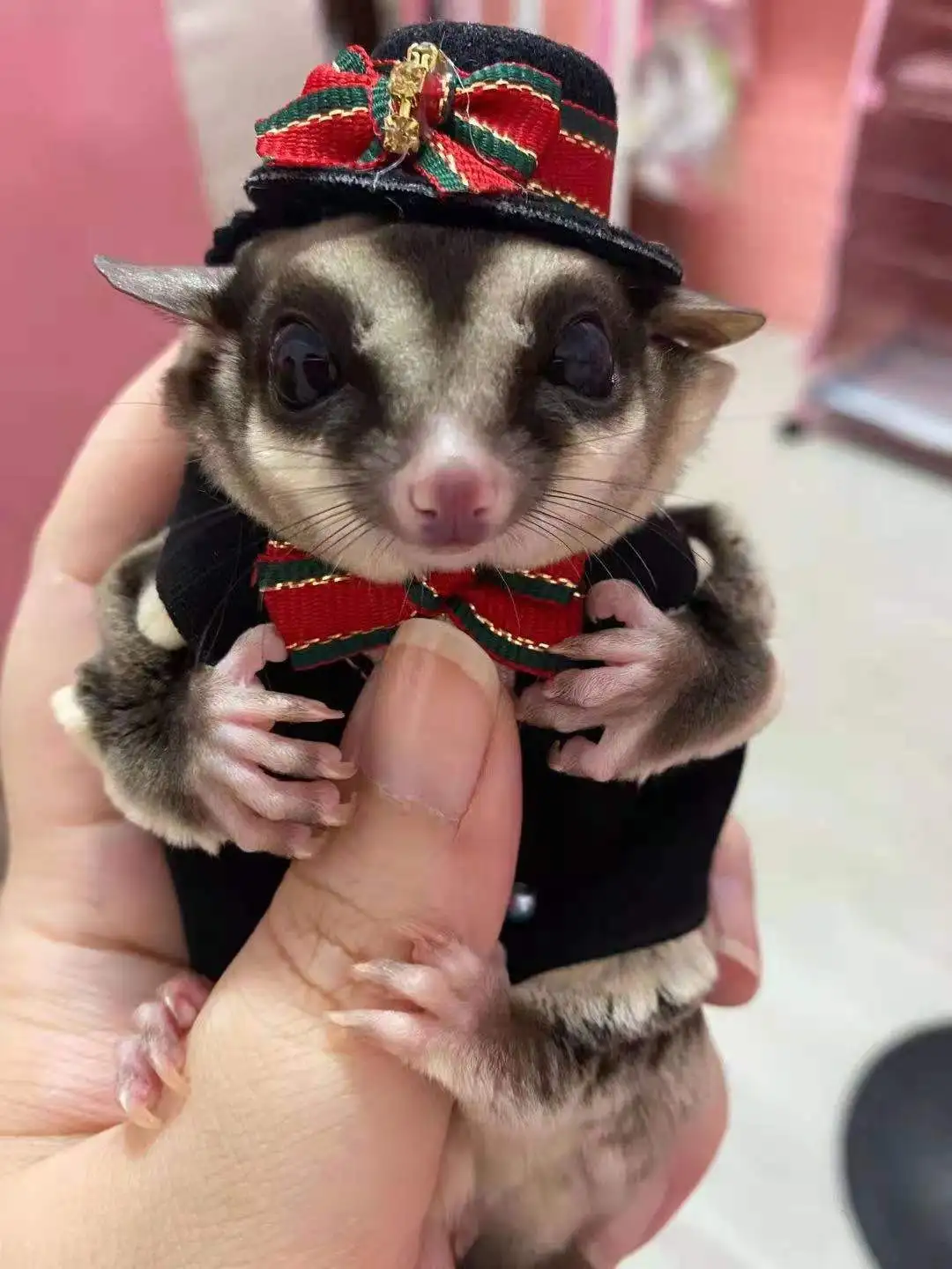 

Индивидуальный набор слайдеров для домашних животных ручной работы, маленькая одежда для домашних животных, хомяк, белка, золотой Шелковый ...