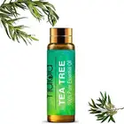 Yidiola 10 мл эфирные масла чайного дерева для увлажнителя воздуха масляный Диффузор Духи сандаловое дерево эвкалипт апельсин перечная мята Жасмин лимон