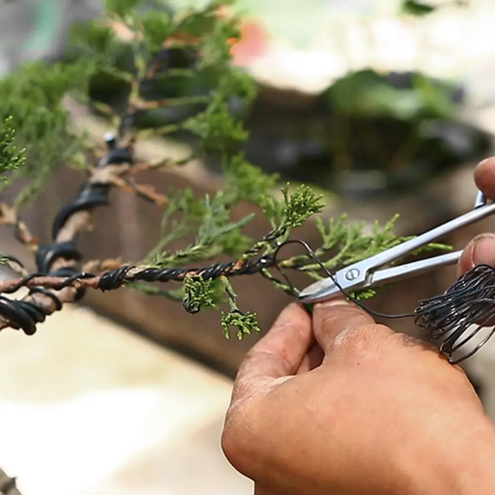 3 роллы анодированный алюминиевый сплав черный провод для бонсай Ремесло Сад 1 0