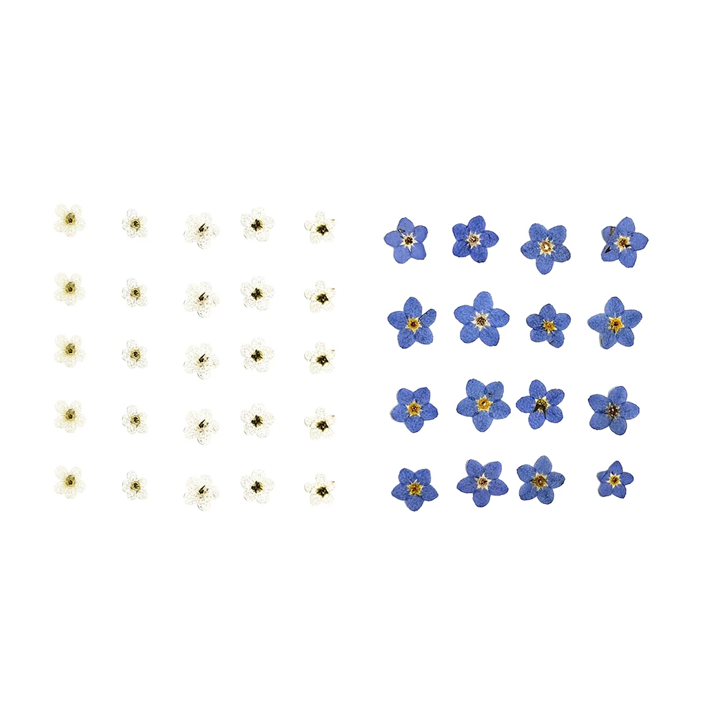 20 шт настоящий высушенный цветок забудьте не прессованные листья ювелирные