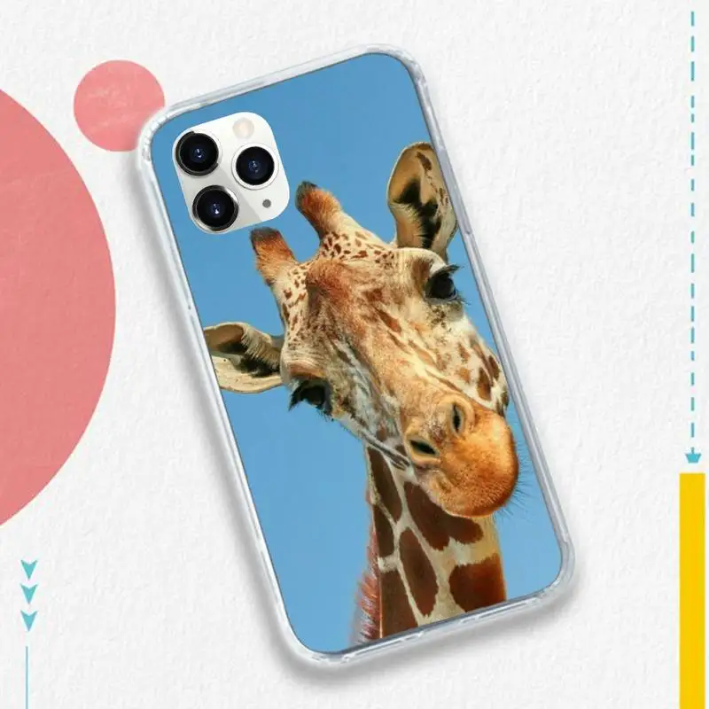 

giraffe cartoon fashion carcasa Phone Case Transparent soft For iphone 5 5s 5c se 6 6s 7 8 11 12 plus mini x xs xr pro max