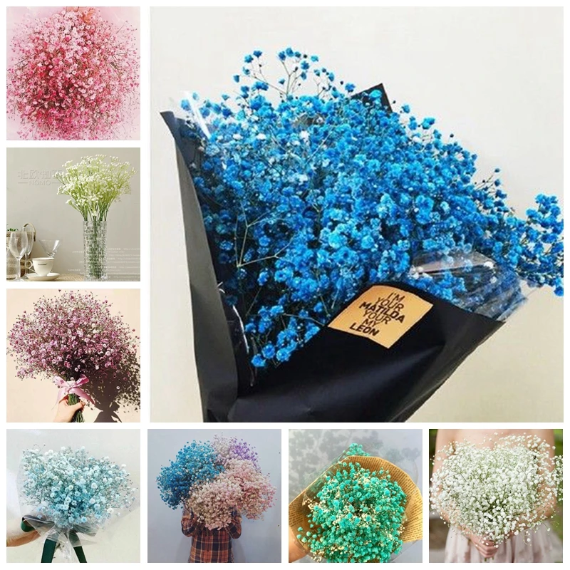 Гипсофила 100|Цветочные горшки и кадки| |