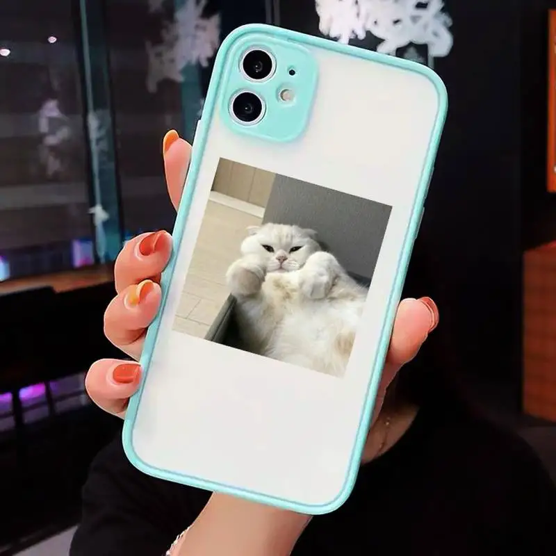 

cat cute animal pattern Phone Cases matte transparent For iphone 7 8 11 12 plus mini x xs xr pro max cover