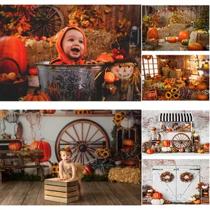 Фоны для фотосъемки с изображением осенних тыкв торта разбитого подсолнуха цветов детей на 1-й День рождения фоны для фотостудии