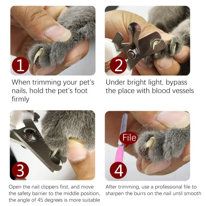 

Stainless Steel Nail Clippers Pet Animal Dog Cats Bird Toe Claw Grooming Nail Clippers Scissors Trimmer