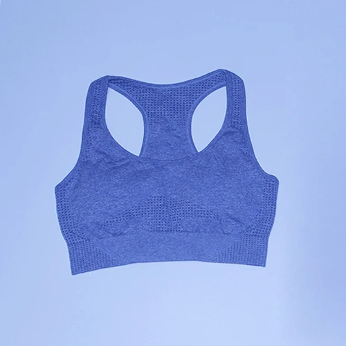 Gray bra Vital бесшовный спортивный костюм, спортивный комплект, женская одежда для тренировок, бесшовные леггинсы, спортивный бюстгальтер пуш-ап, укороченный топ с длинными рукавами, комплект из 3 предметов для йоги - Цвет: Gray bra
