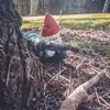 Изображение товара 5