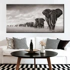 Настенные картины с изображением черной африки и слонов