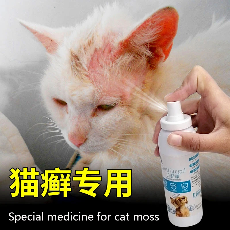 Animal de Estimação Cuidados com a Pele Doença da Pele do Gato Coceira para Aliviar a Coceira Perda de Cabelo Spray Gato Ringworm Tratamento Realmente 120ml