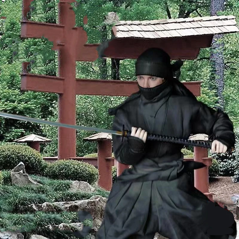 1/6 масштаб японский костюм женский набор одежды ниндзя для 12 дюймов фигурку тела