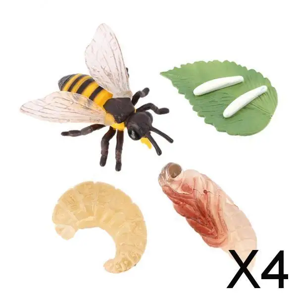 

4xPlastic Kids Insect Bee Growth Life Cycle Figures Education Learning Toys