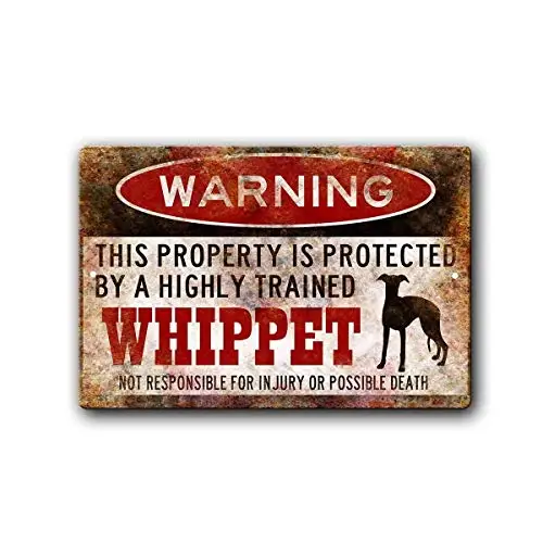 

queen rock Tin Wall Sign Warning Plaque Retro Iron Painting Metal Poster Artwork Decor for Garage Home Garden Bar