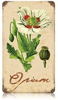 

ArtFuzz12x16Vintage Metal Sign - Opium