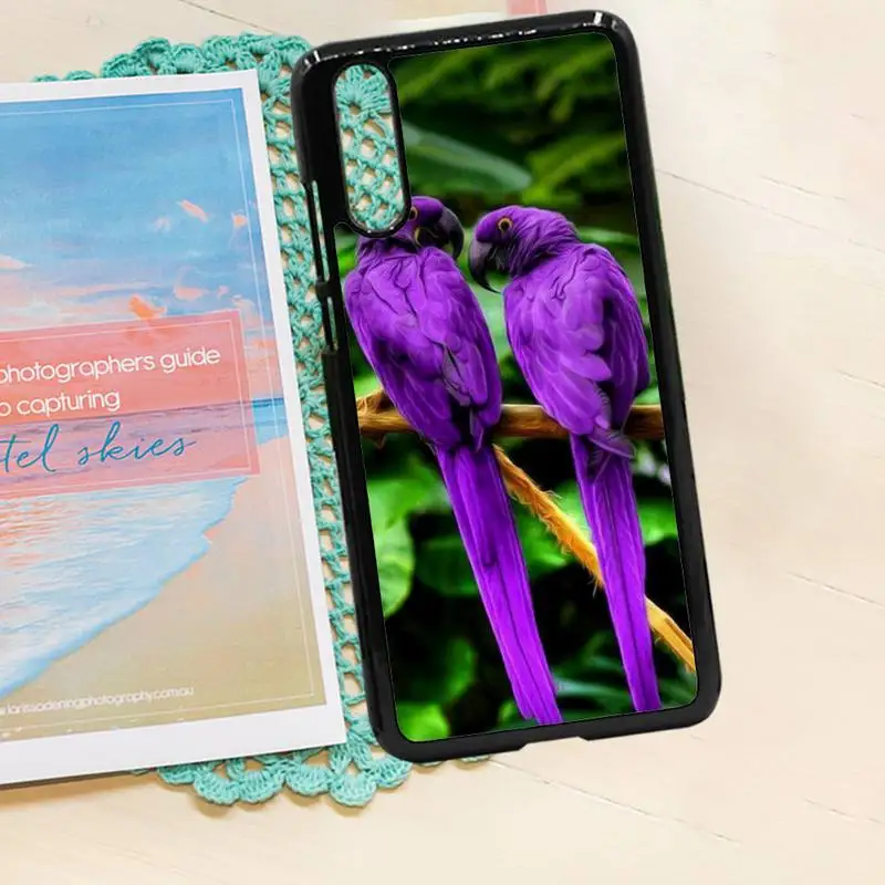 

Parrot bird cute animal Phone Cases PC for iPhone 11 12 pro XS MAX 8 7 6 6S Plus X 5S SE 2020 XR