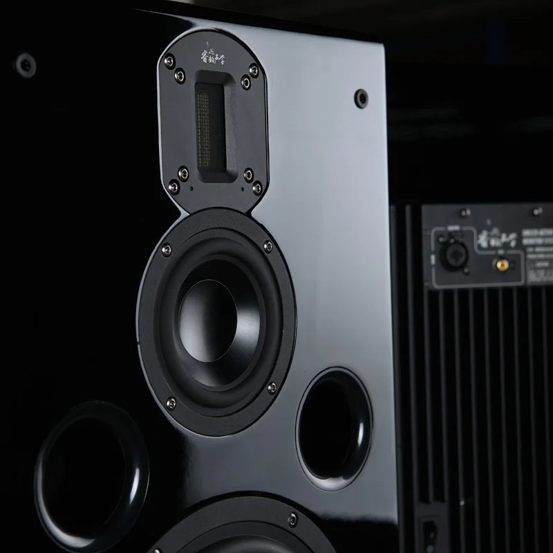 DM320 8-дюймовый трехполосный активный мониторинг динамик s Hifi динамик 8 дюймов бас 4 дюйма СЧ алюминий ВЧ