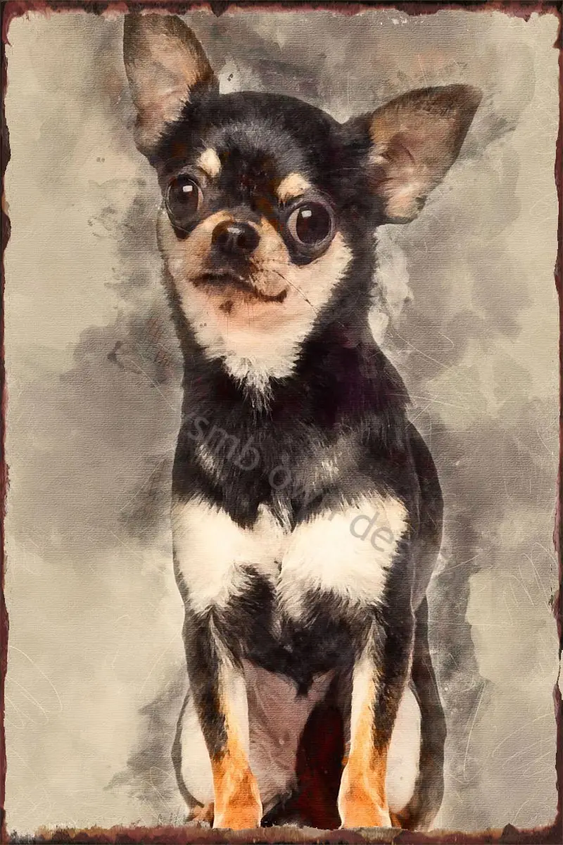 

Настенный декор для чихуахуа 15 лет Si, Ретро винтажный металлический знак, жестяные таблички для художественного оформления, паба, дома, клуб...