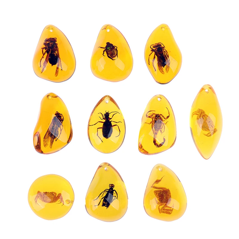 

Insect Stone Natural Inclusion Amber Baltic Pendant Necklace Home Decorative Stone Wedding Party Travel Gifts Random Pattern