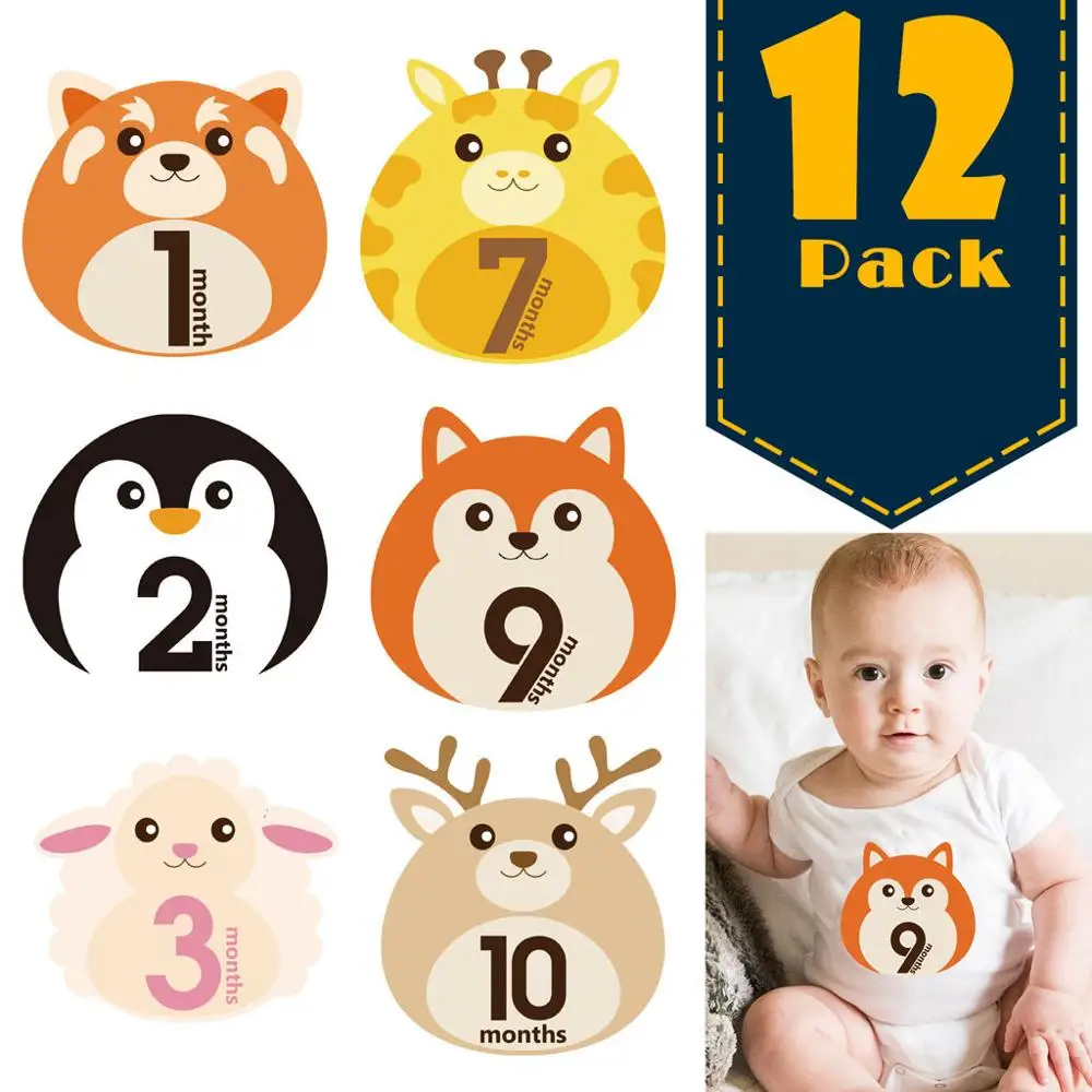 Pegatinas de animales para compartir fotos de beb&eacute;, primer a&ntilde;o mensual, 1 a 12 meses, 12 Uds.-5