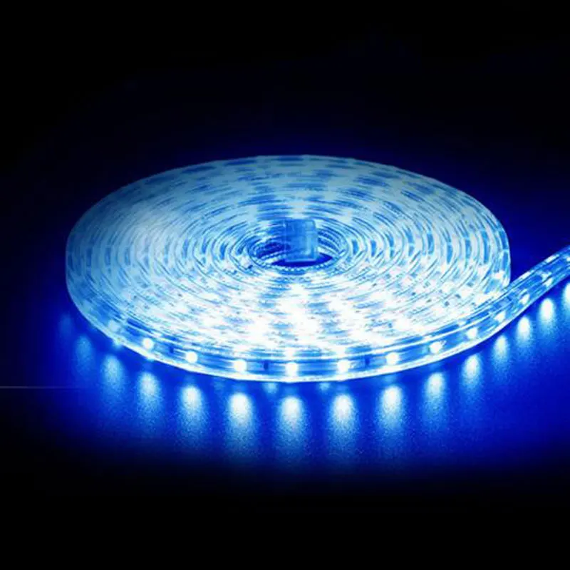 

LED Strip AC220V LED Ruban Tiras with EU Plug Warm Cold White 1 Meter to 25 Meters 60leds/m Fita Luz Tira Ruban Bande SMD5050