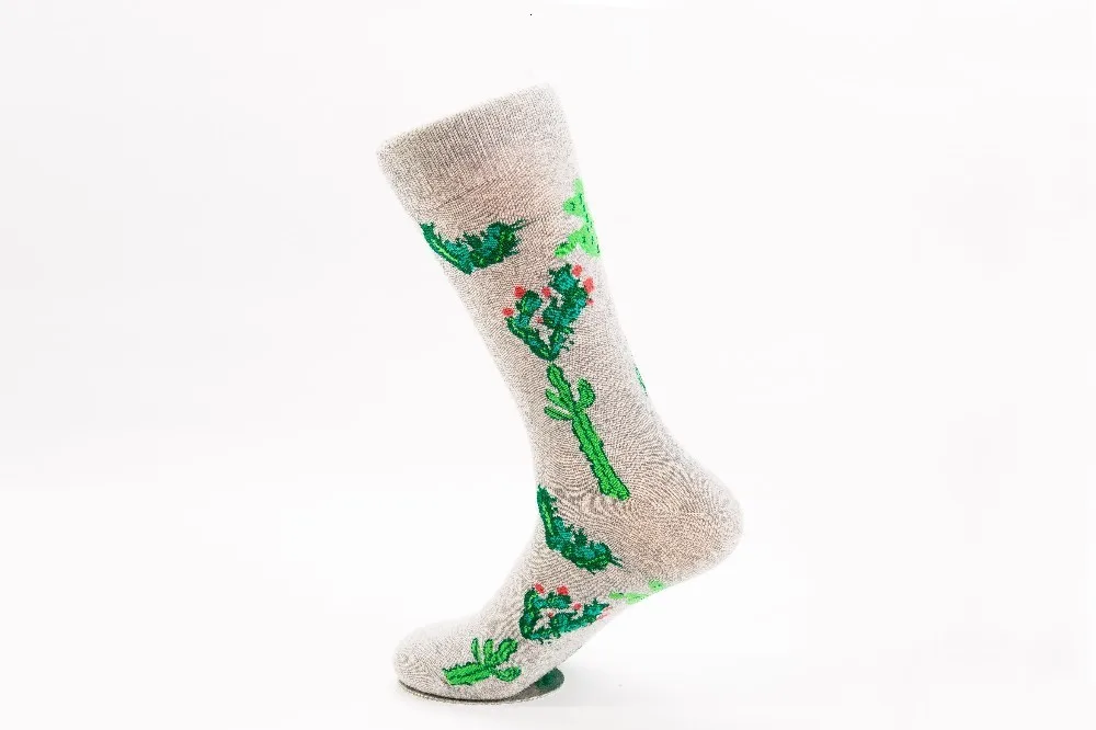Новинка, оригинальные мужские носки, хлопковые цветные носки, носки с рисунком животных, кальмаров, кактусов, Harajuku, мужские носки, подарок