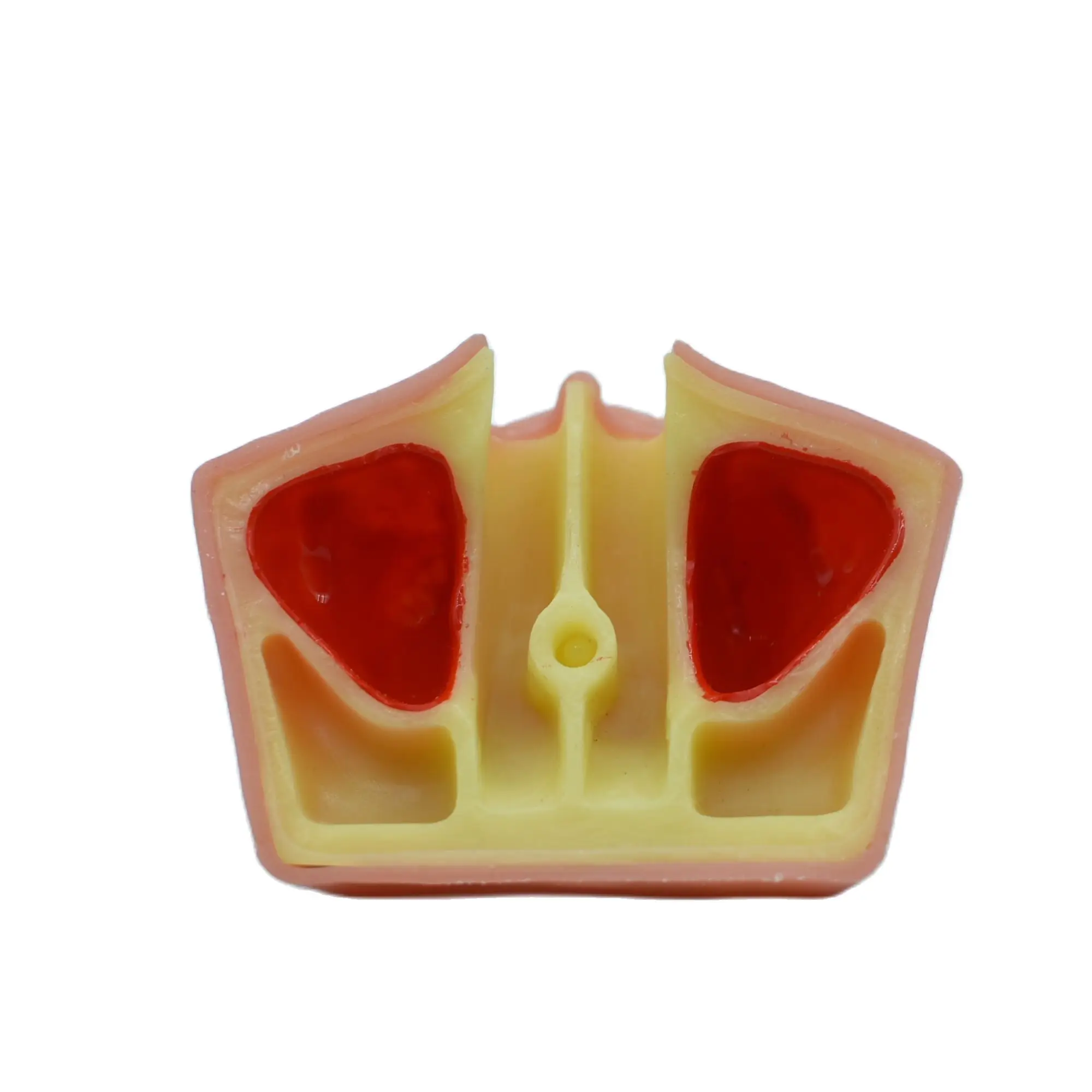 1pc Teeth Model Dental Demonstration Oral Implant Practice Maxillary Sinus Teaching Soft Gum for Dentists Learning - купить по