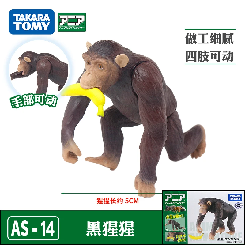 Модель диких животных TAKARA TOMY фигурка анимационного животного Лесной уход Chimpanzee