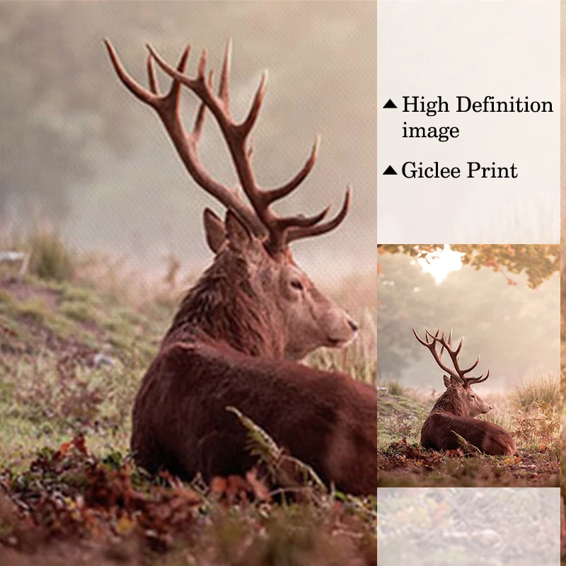 Фон для фотографий с изображением леса Листьев реки заката пейзажа | Дом и сад