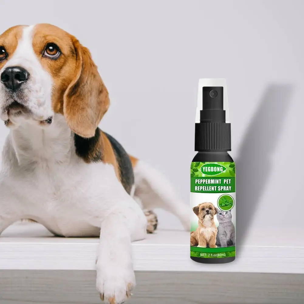 

Liquid Treatment Spray Quick And Easy Kills Fleas Ticks Repellent Spray For Pets Cats Antiflea H2h7