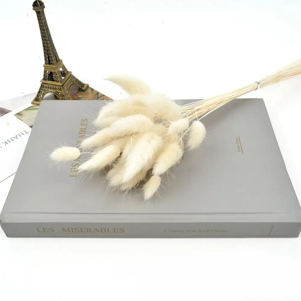 30 стеблей сушеный цветок Кролик хвост натуральные растения Цветочный трава