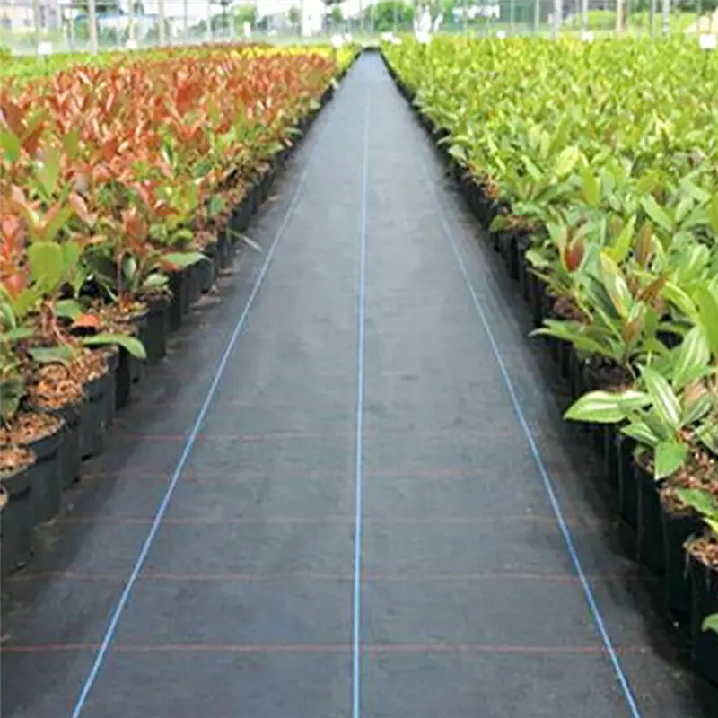 

5M/10M Garden Weed Barrier Fabric Agriculture Greenhouse Weed Control Orchard Plant Weeding Cloth PE Braiding Ground Cloth U3