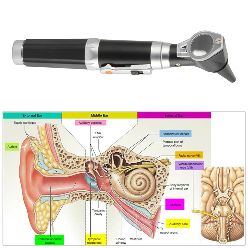 

1 Set 18.5 Lumen New Professional Aluminum Otoscope Diagnostic Ophthalmoscope Ear Care Tool LED Light for Clinic Veterinary